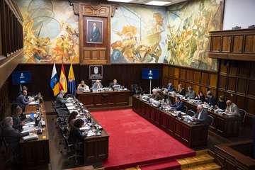 Pleno del Cabildo de Gran Canaria sobre el estado de la Isla/TA.